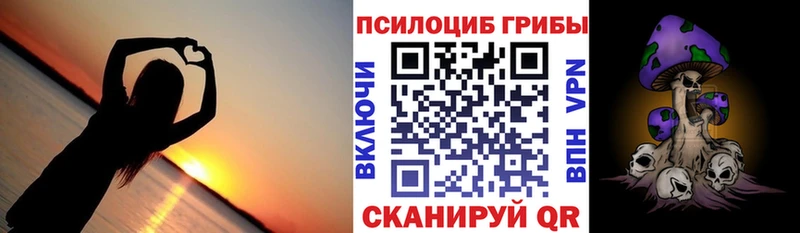 наркота  Заозёрск  Псилоцибиновые грибы мицелий 